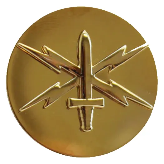 Army Enlisted Branch Insignia Lapel Disc - Cyber Warfare